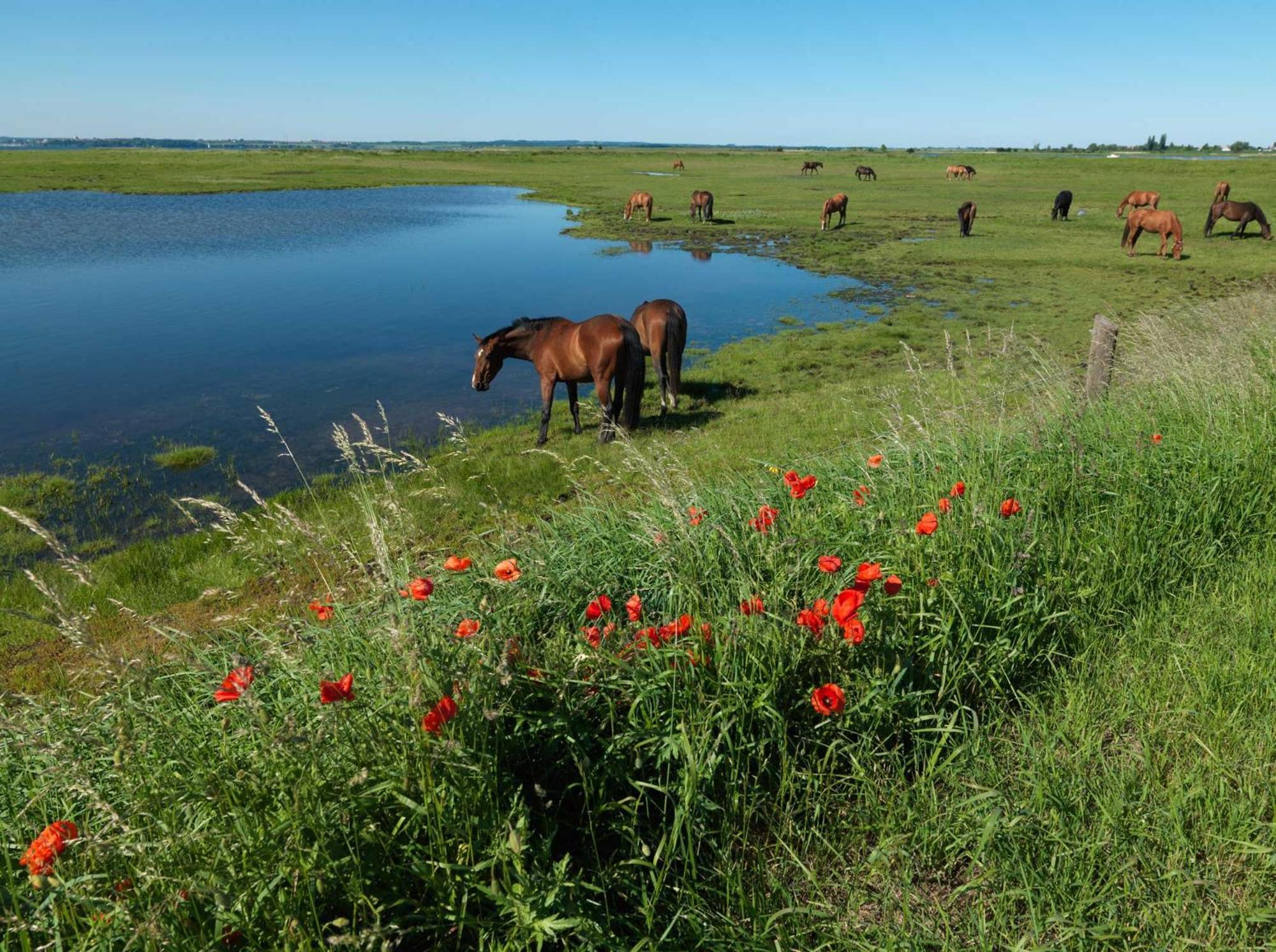Inselhaeuser Kaltenhof Inselhaus Poel 1 Bagian luar foto