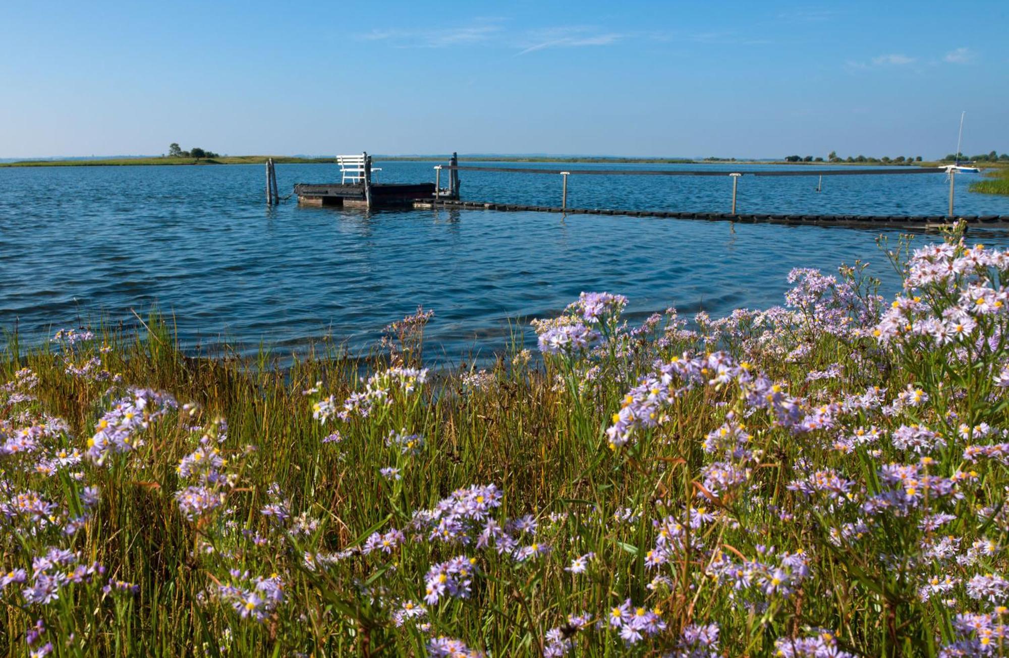 Inselhaeuser Kaltenhof Inselhaus Poel 1 Bagian luar foto